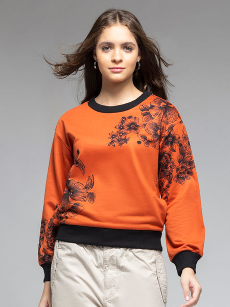 Amal Sweatshirt from Shaye India , Sweatshirt for women