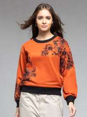 Amal Sweatshirt from Shaye India , Sweatshirt for women