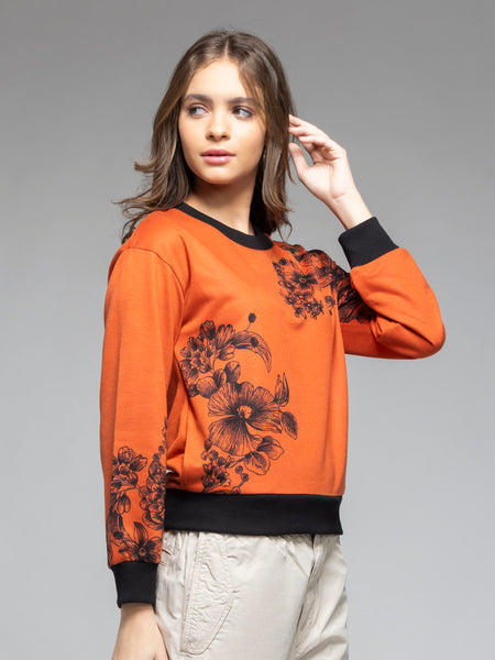 Amal Sweatshirt from Shaye India , Sweatshirt for women