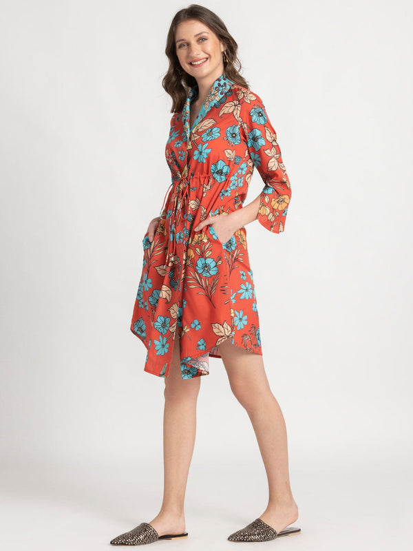 Averie Dress from Shaye , Dress for women