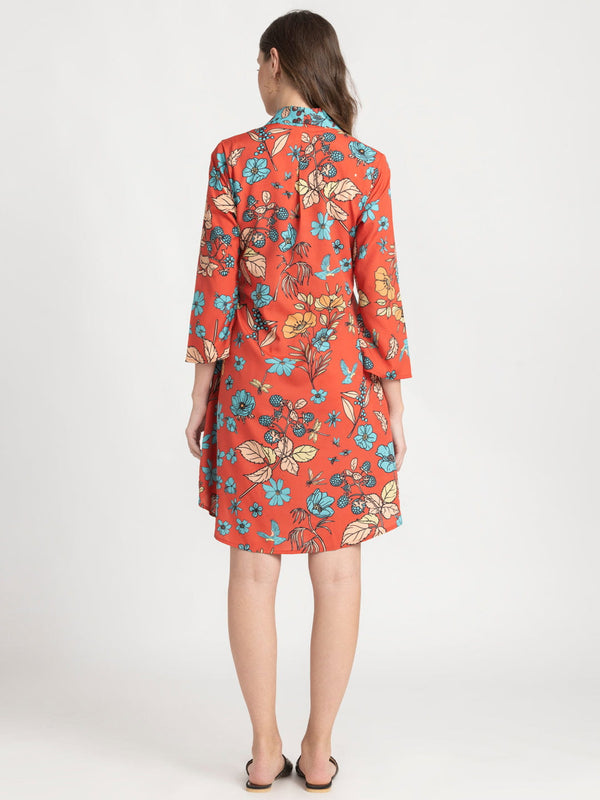 Averie Dress from Shaye , Dress for women
